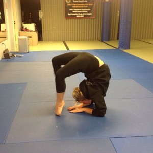 maryland gymnastics training at ivy league mma